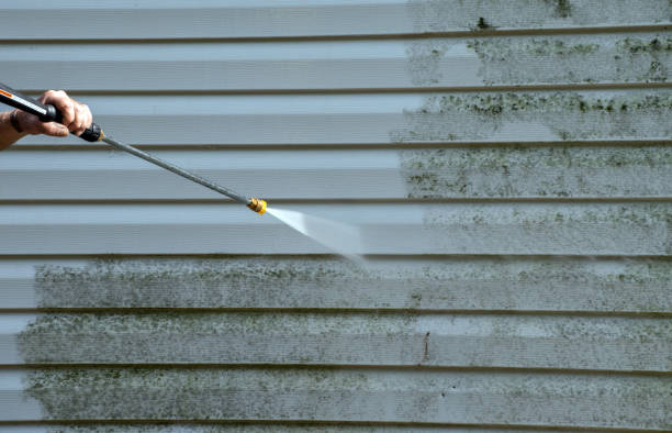 Best Home Mold Removal  in Wardsville, MO