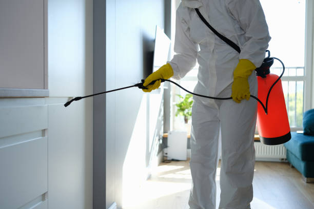 Best Crawl Space Mold Removal  in Wardsville, MO