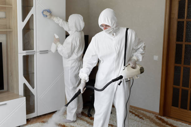 Best Attic Mold Removal  in Wardsville, MO